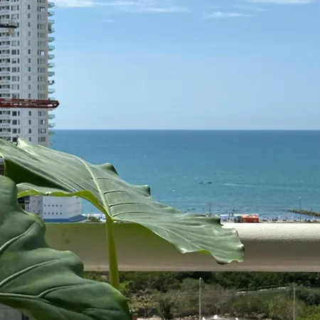 Vista Directa Al Mar Y A 10 Minutos Del Centro Histórico De Apartamento *